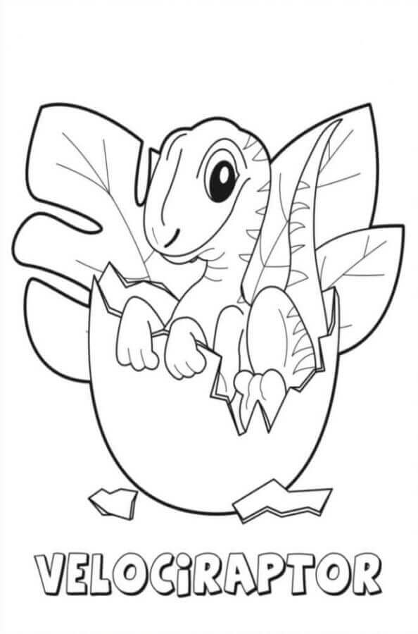 Velociraptor (1)