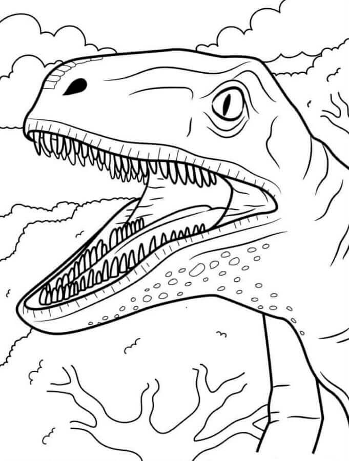 Velociraptor (2)