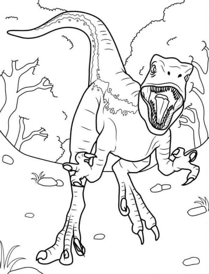 Velociraptor 3 Éves Gyerekeknek