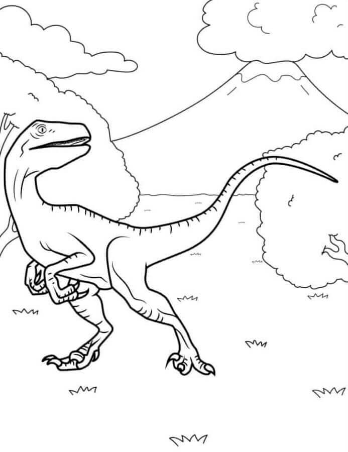 Velociraptor (4)