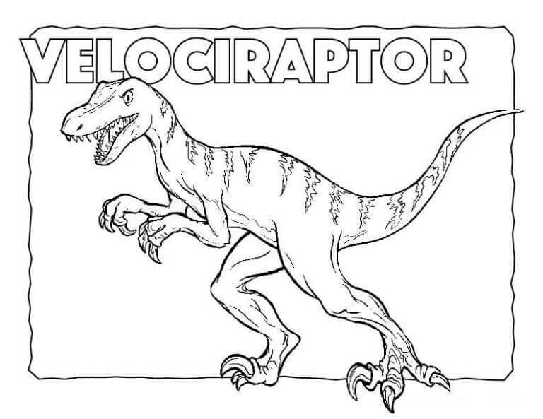 Velociraptor 5 Éves Gyerekeknek