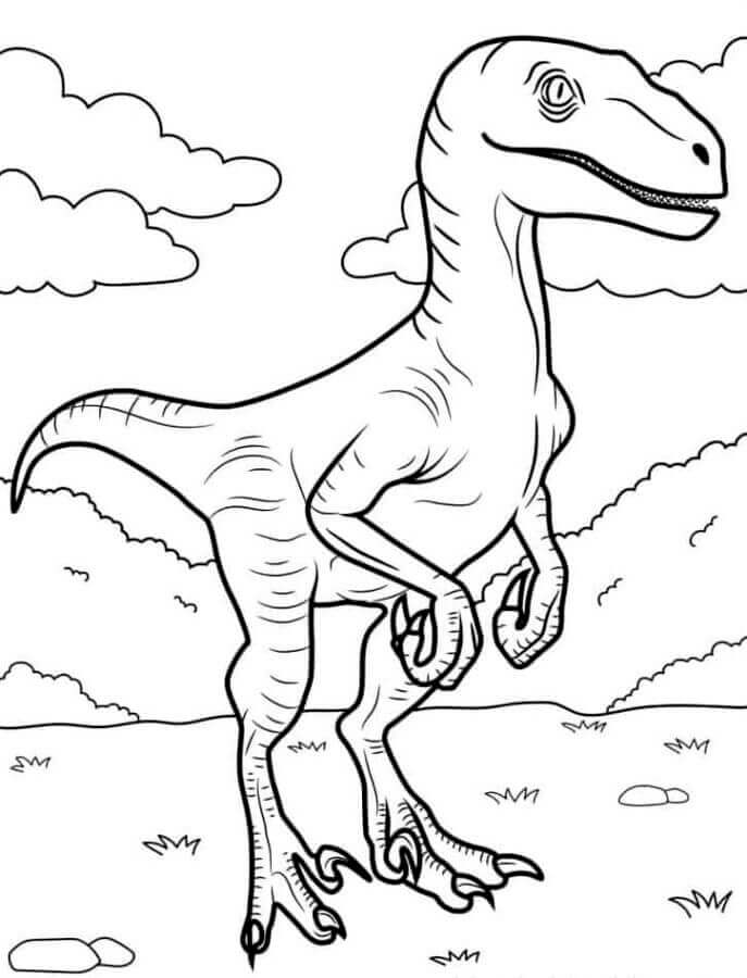 Velociraptor (5)