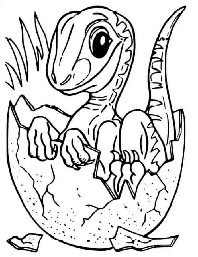 Velociraptor (7)