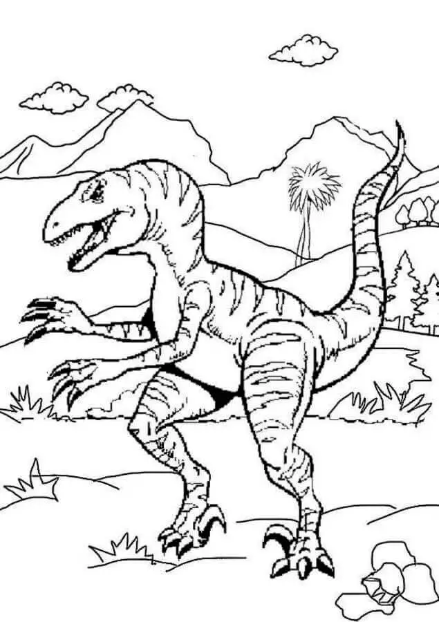 Velociraptor (9)