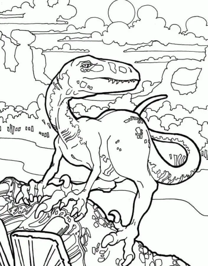 Velociraptor Gyerekeknek