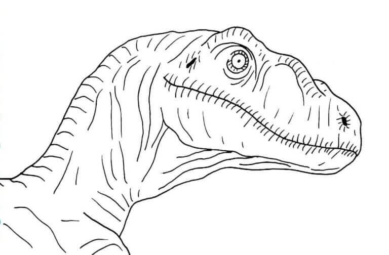 Velociraptor Kép