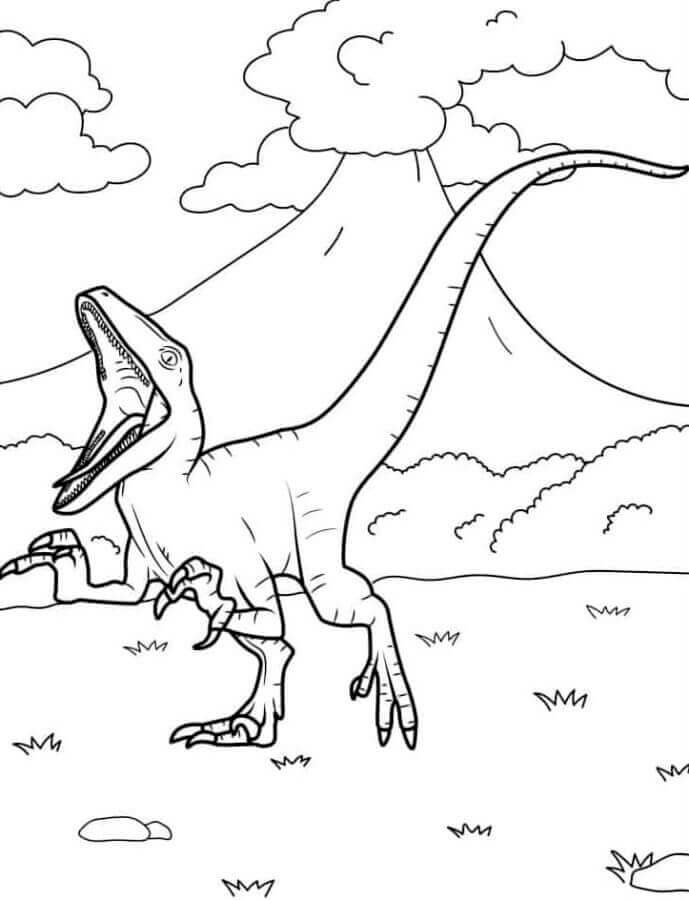 Velociraptor Kiszínezéshez
