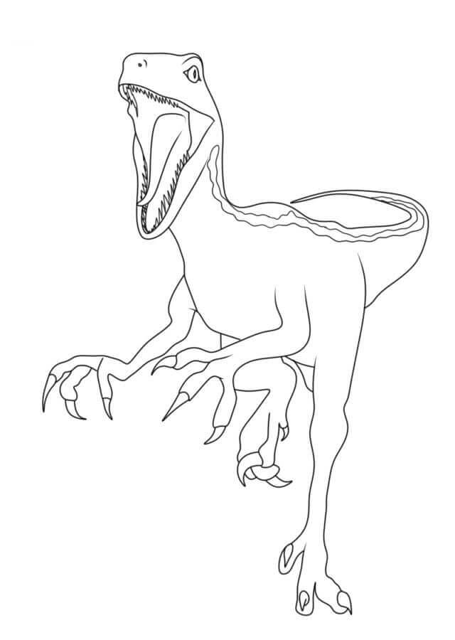 Velociraptor Nyomtatható Ingyen