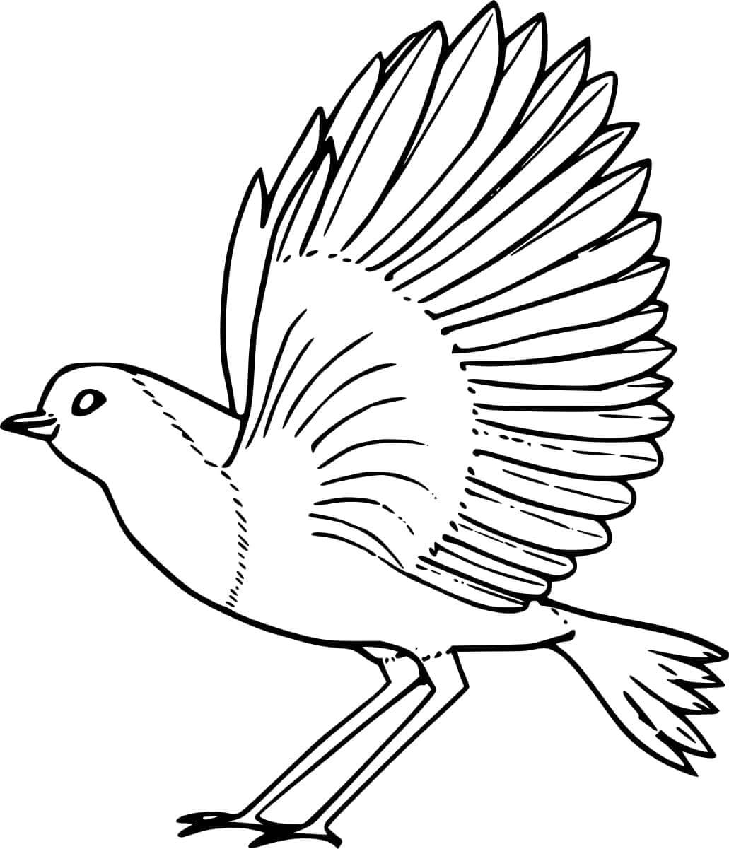 Vörösbegy Gyerekeknek