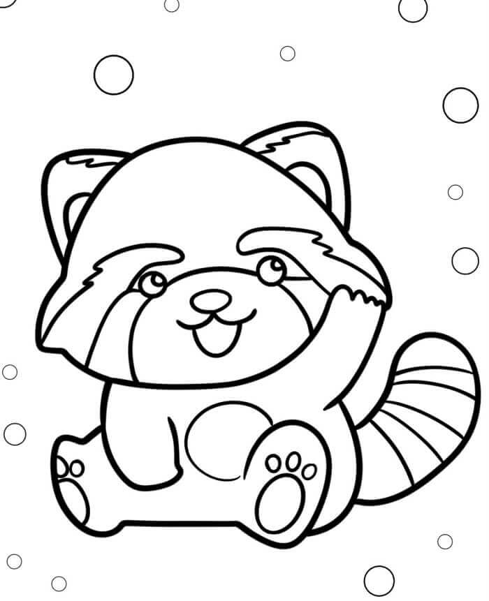 Aranyos Vörös Panda