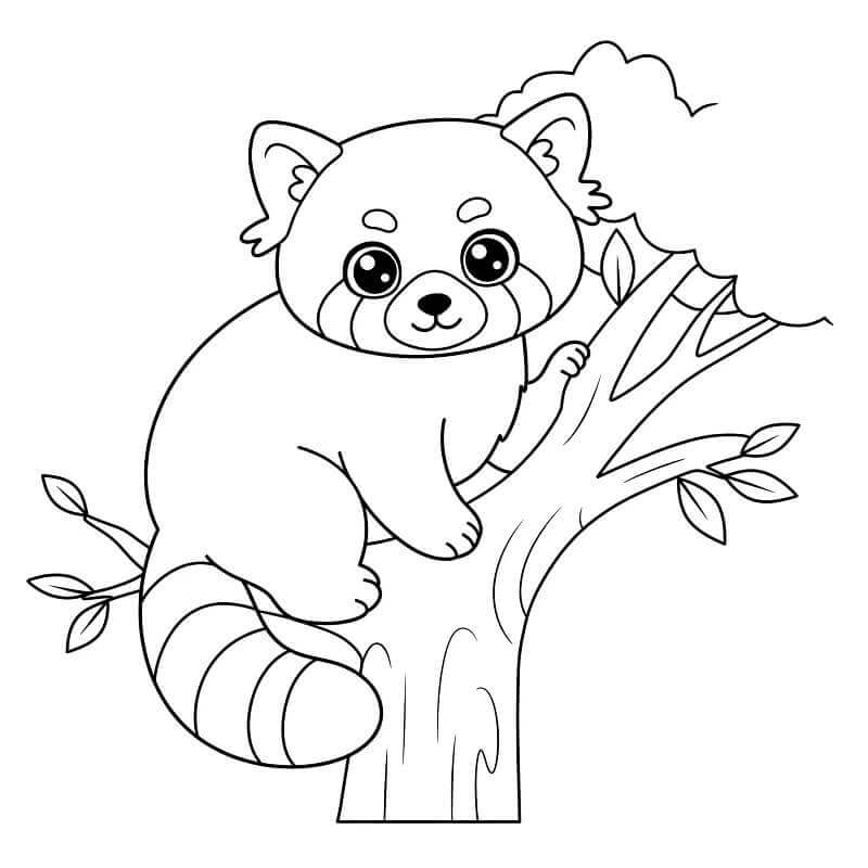 Barátságos Vörös Panda