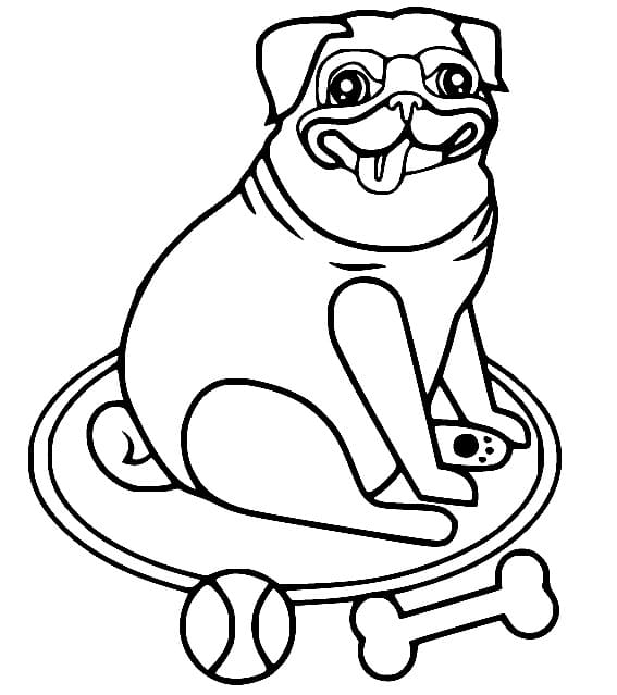 Boldog Mopsz