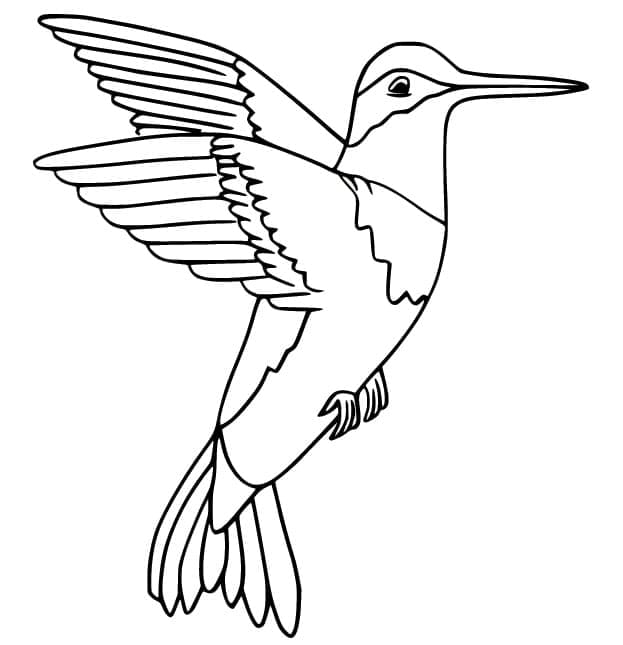 Egy Kolibri