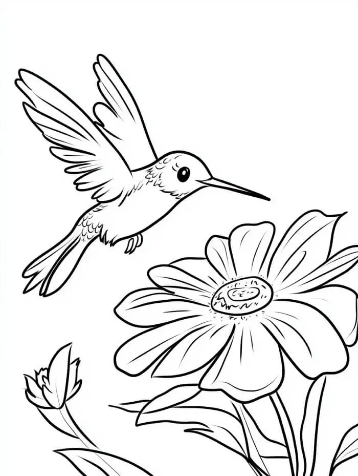 Ingyenes Kolibri Gyerekeknek