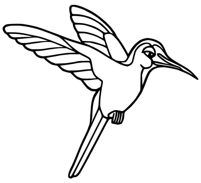 Ingyenesen Nyomtatható Kolibri