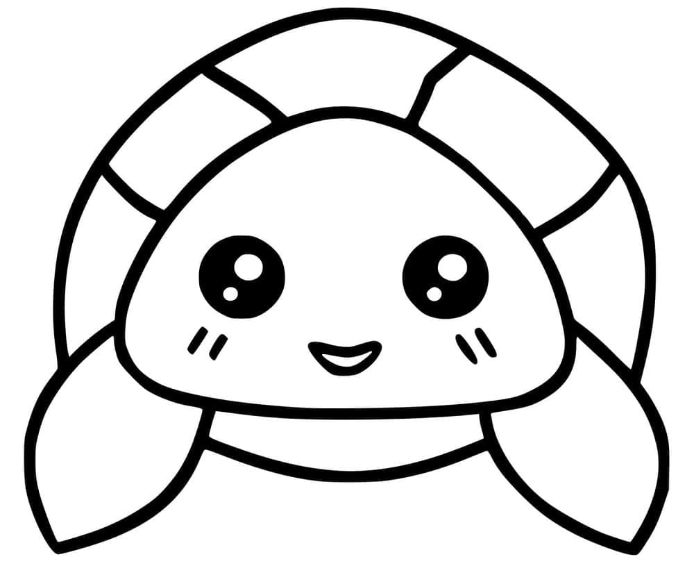 Kawaii teknős arc