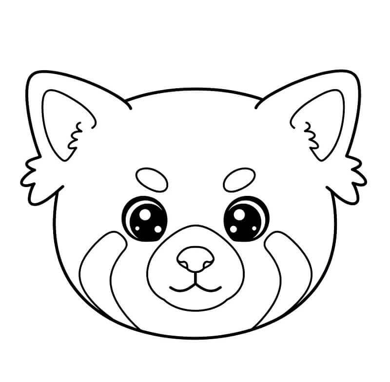 Kis Vörös Panda