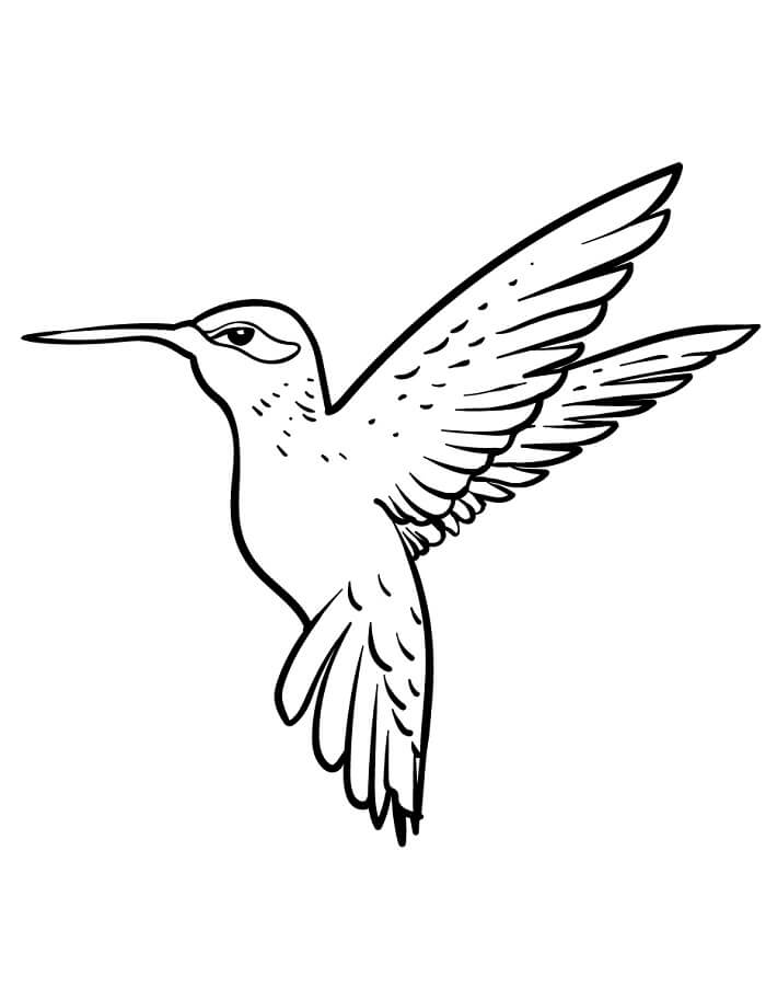 Kolibri 2 Éves Gyerekeknek