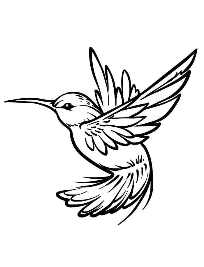 Kolibri 5 Éves Gyerekeknek