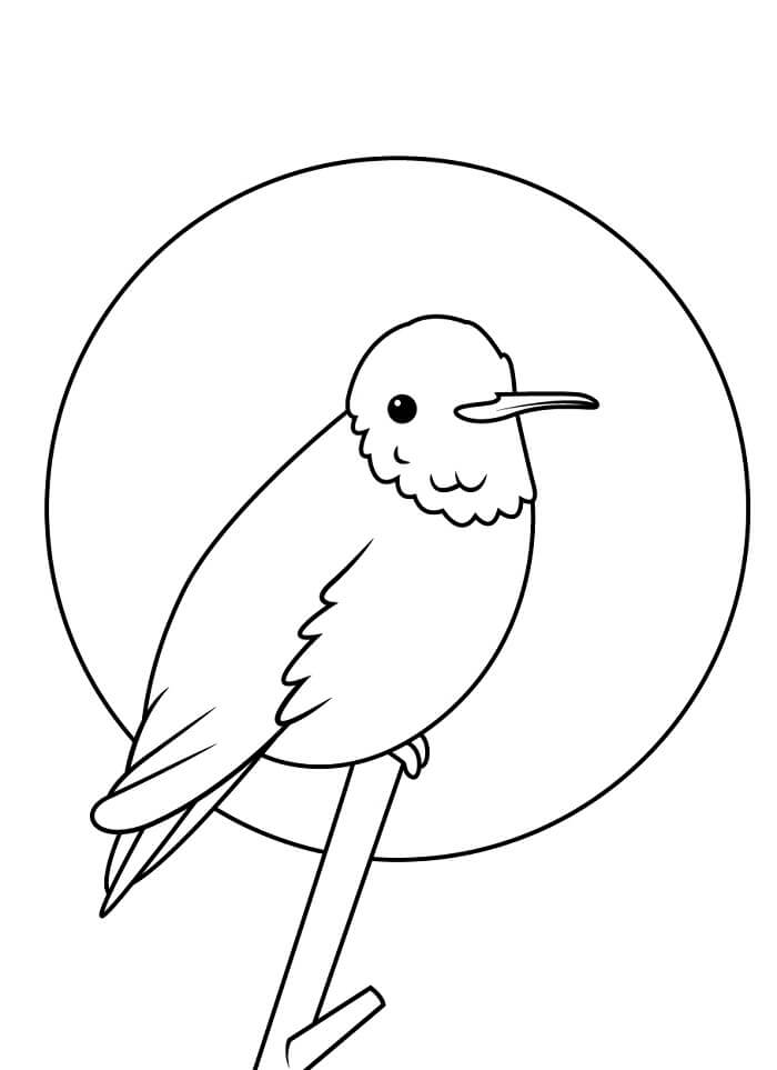 Kolibri 6 Éves Gyerekeknek