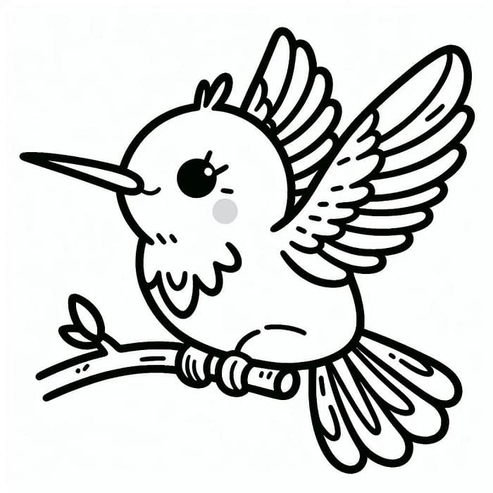 Kolibri Ingyen
