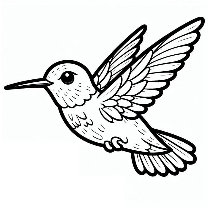 Kolibri Ingyenesen Nyomtatható