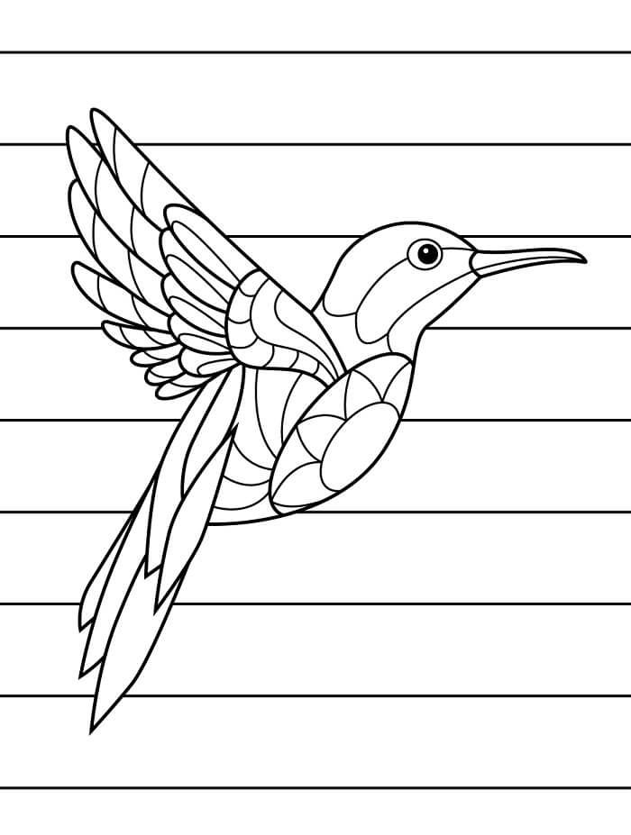 Kolibri Kép