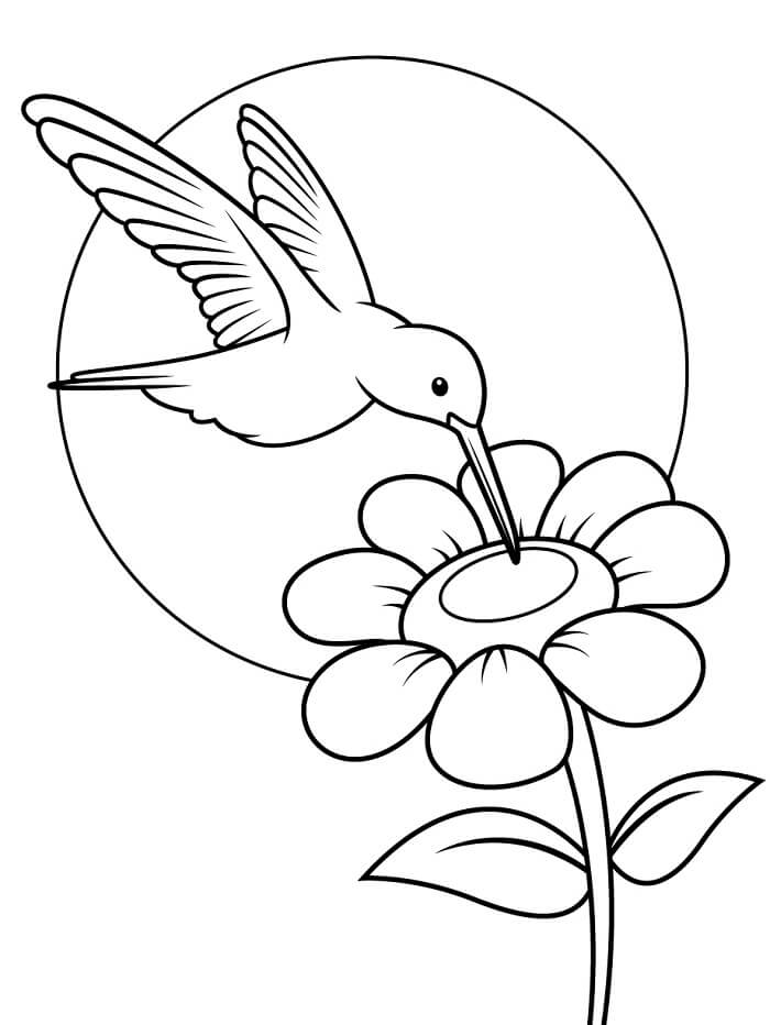 Kolibri Kiszínezhető Gyerekeknek