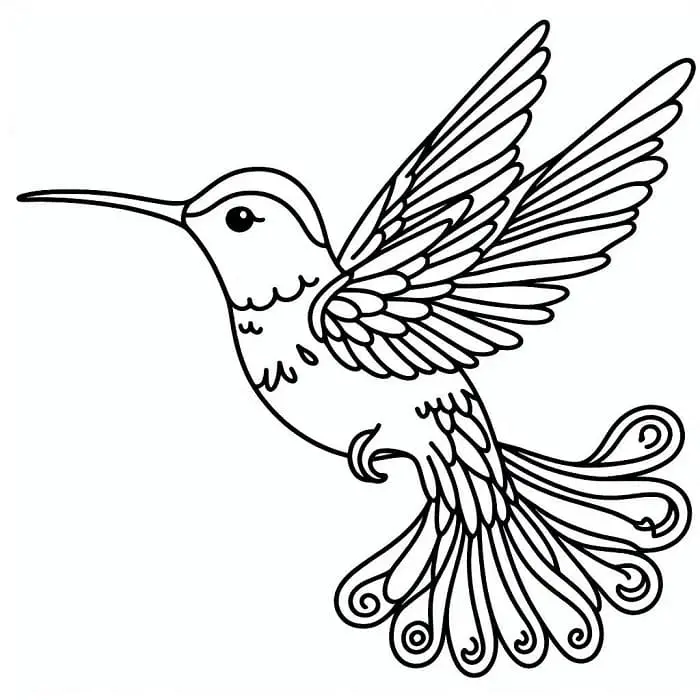 Kolibri Nyomtatható