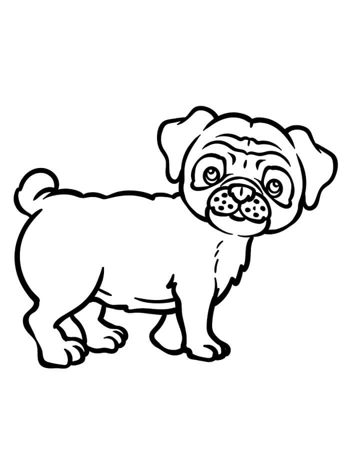 Mopsz Gyerekeknek