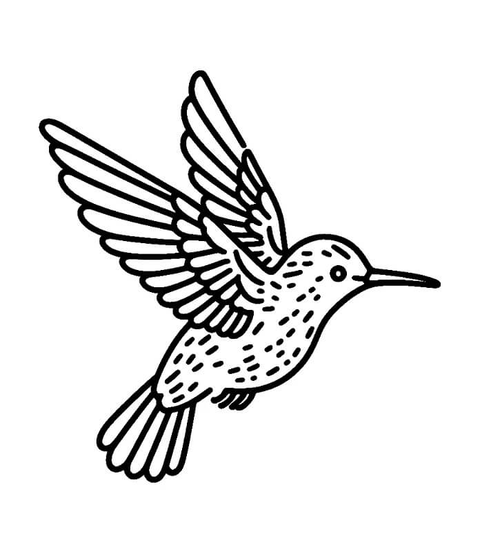 Nyomtatható Ingyenes Kolibri