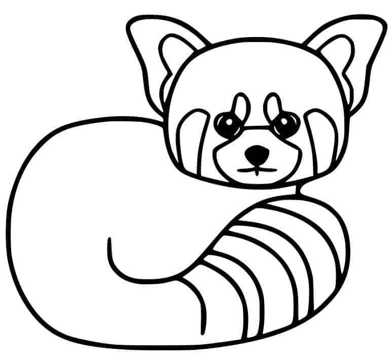 Nyomtatható Ingyenes Vörös Panda