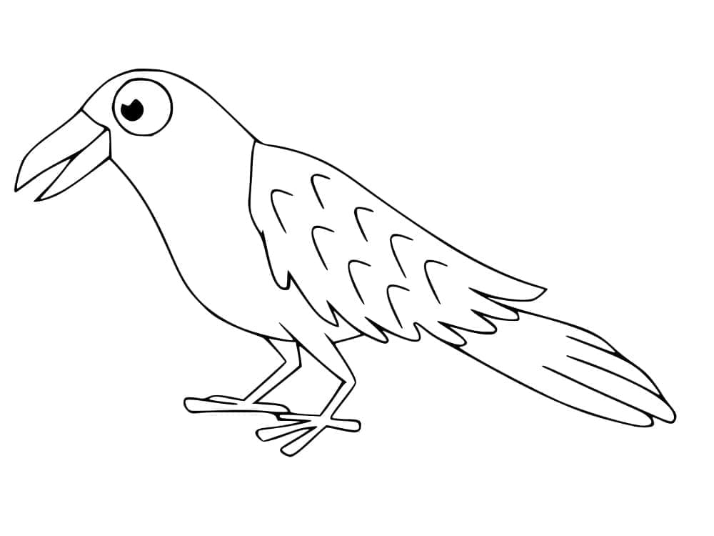 Varjú Ingyen