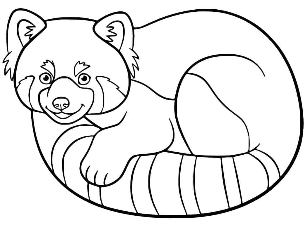Vörös Panda Ingyen
