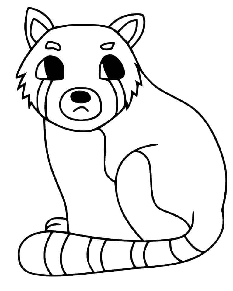 Vörös Panda Kiszínezéshez