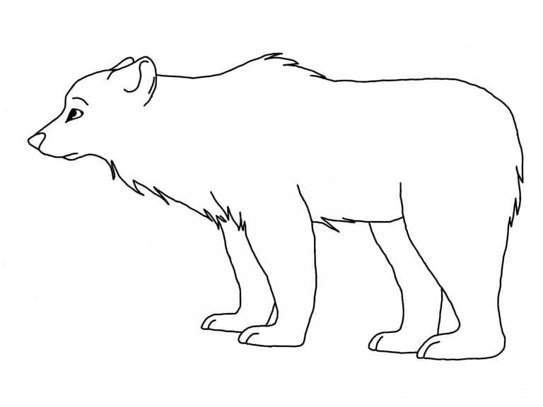 Animált Jegesmedve