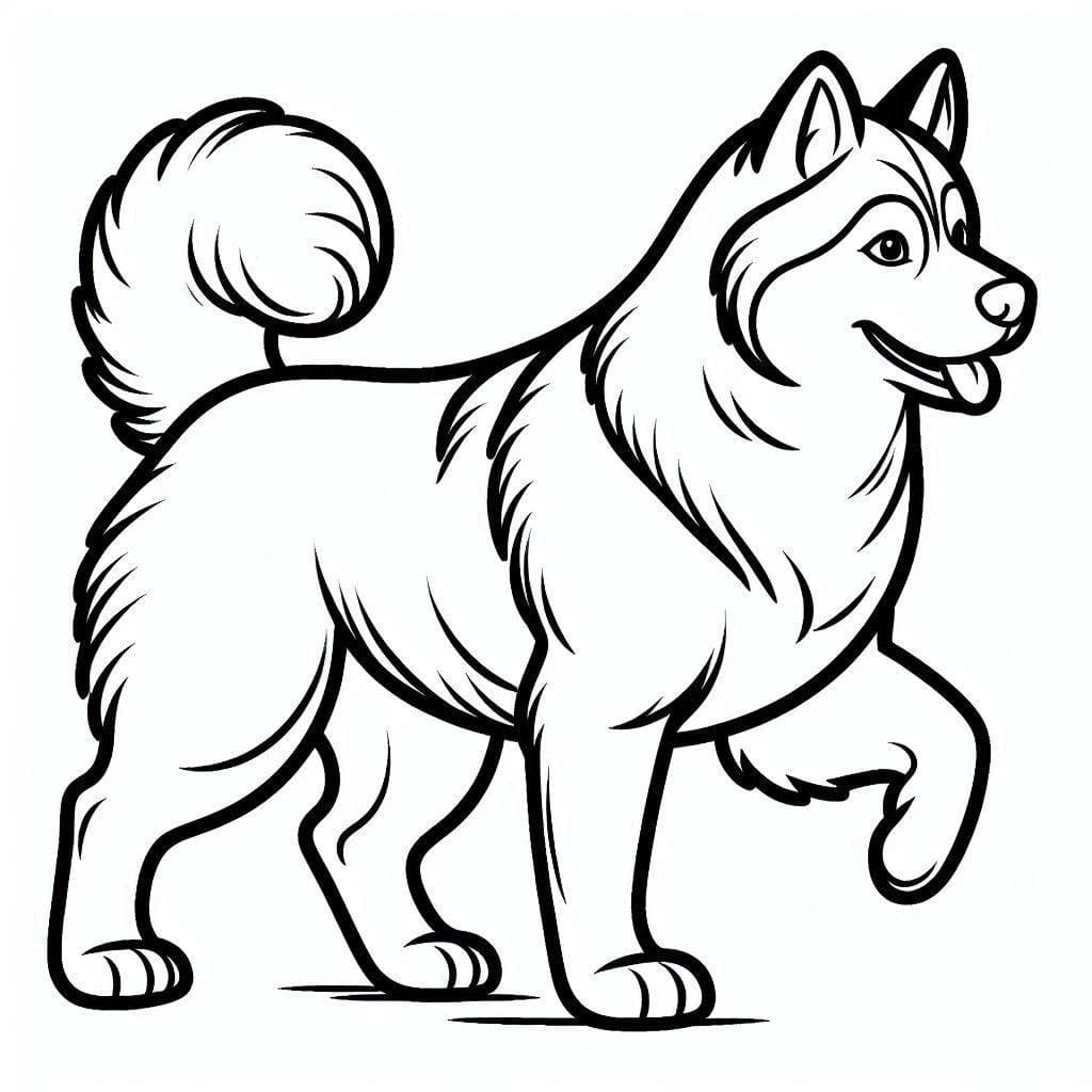 Husky színező