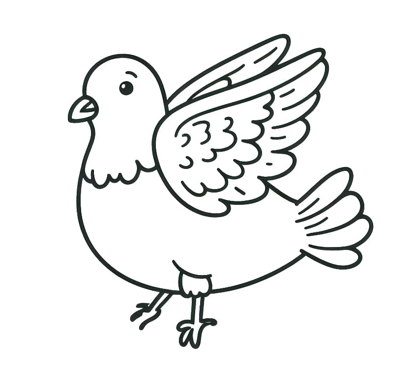 Galamb 4