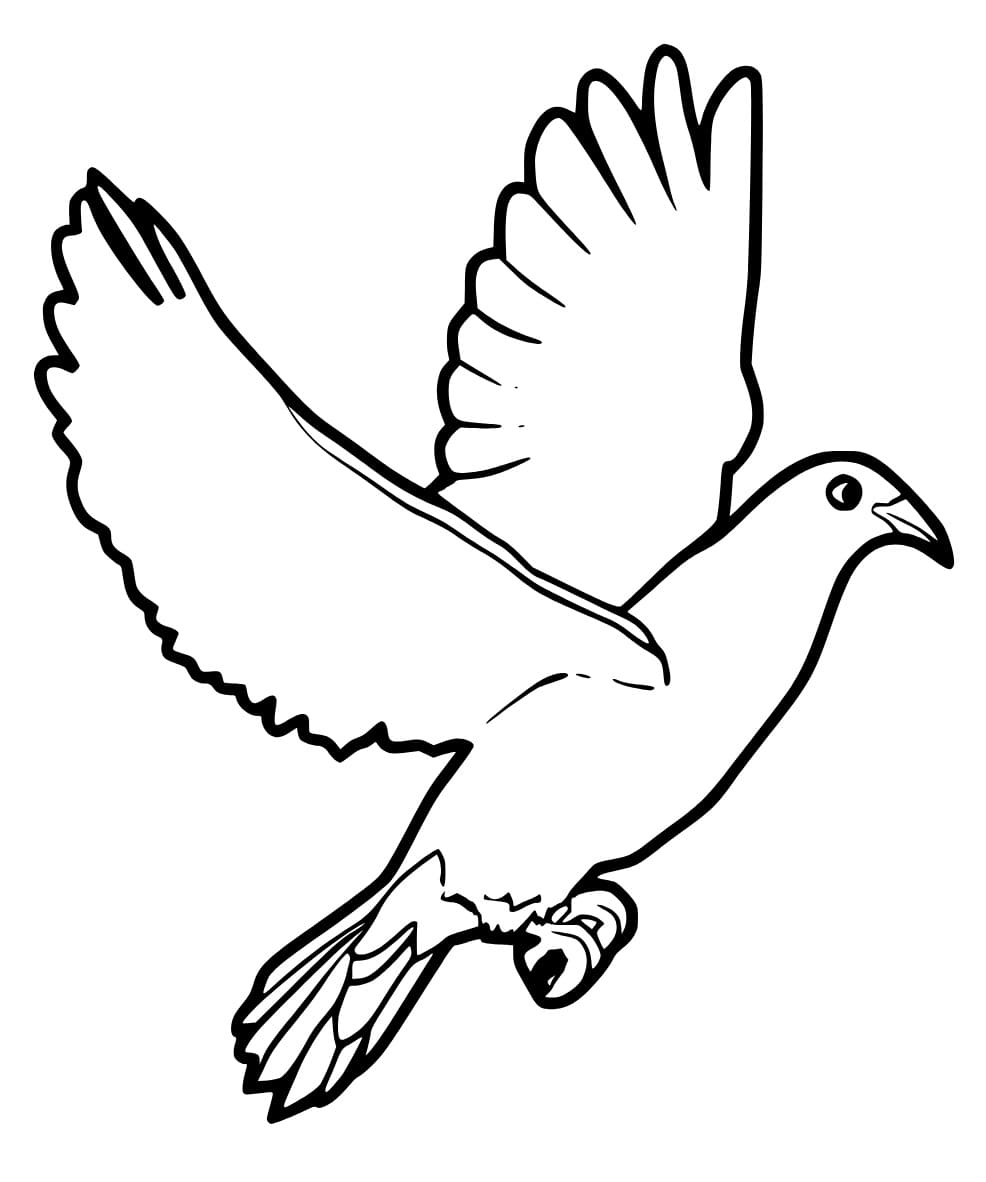 Galamb 5