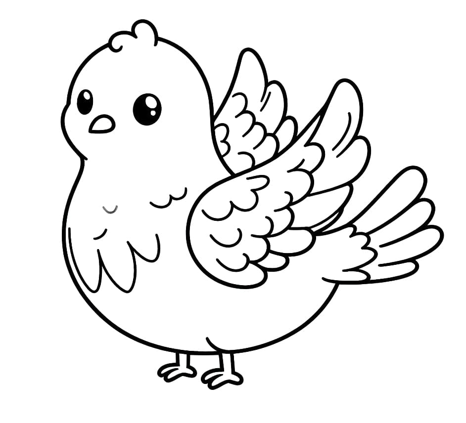 Kawaii Galamb
