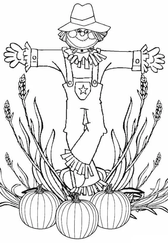 Madárijesztő Tökökkel