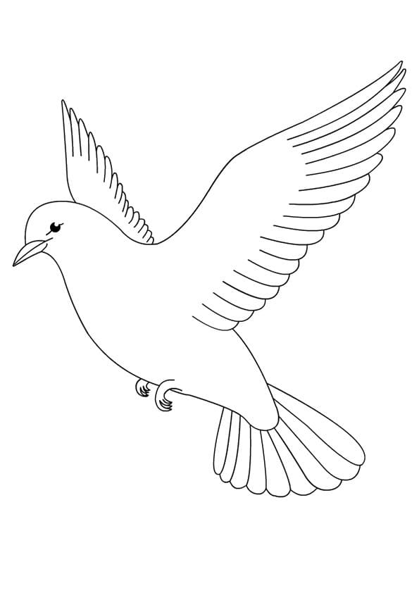 Repülő Galamb