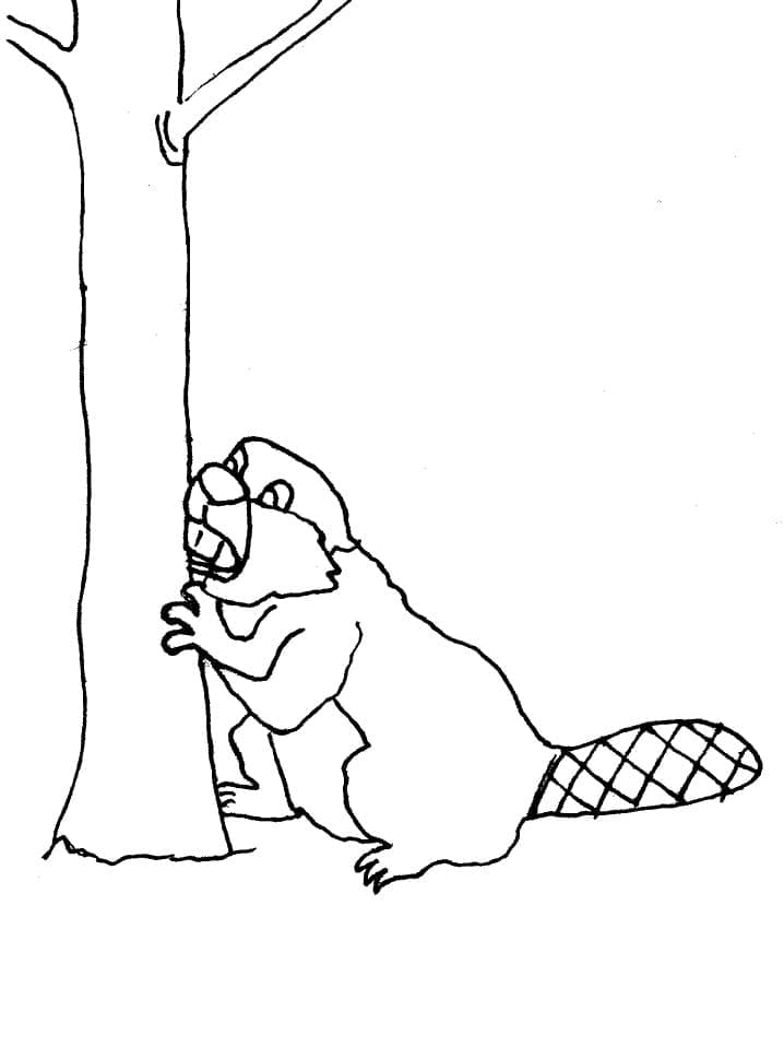 Alap Hód