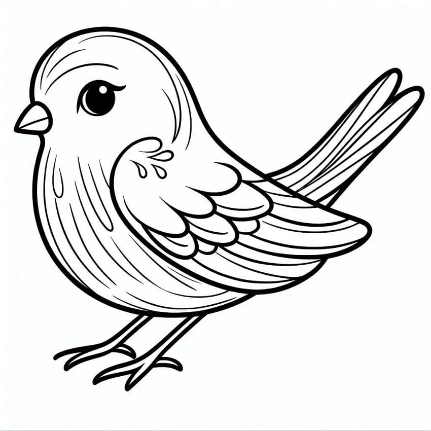 Aranyos Kanári Madár