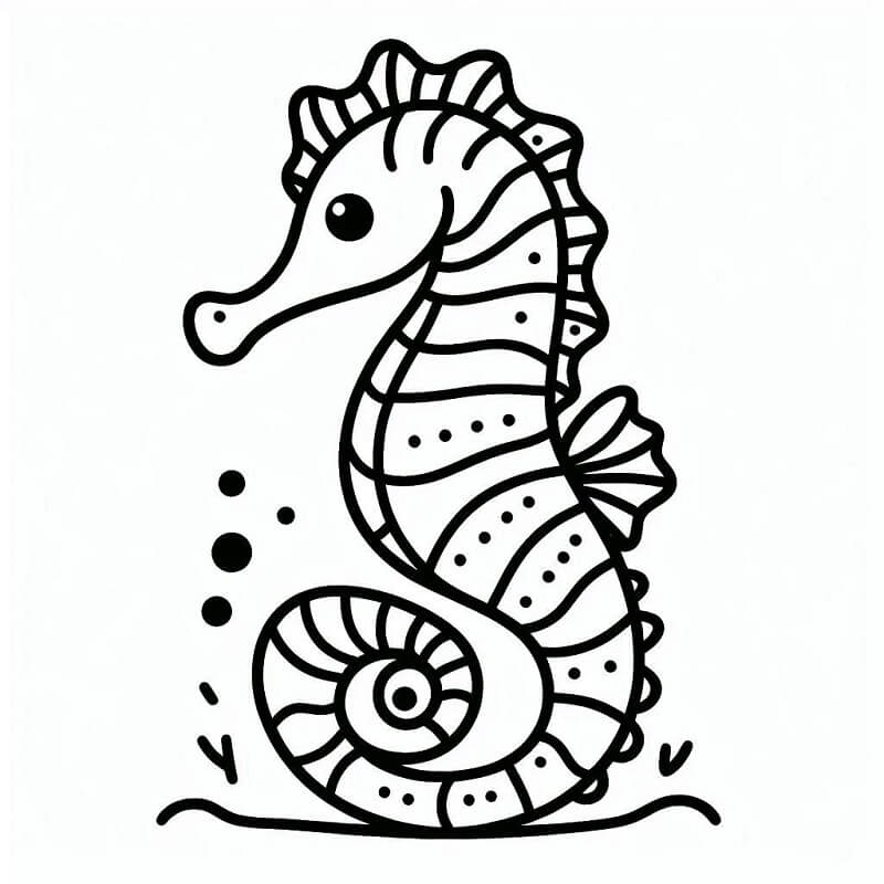Csikóhal Gyerekeknek