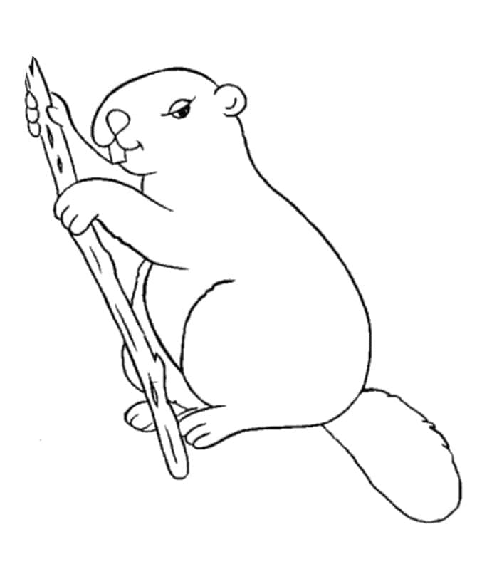 Hód és Ág