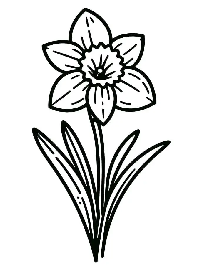 Ingyenes Nárcisz Gyerekeknek