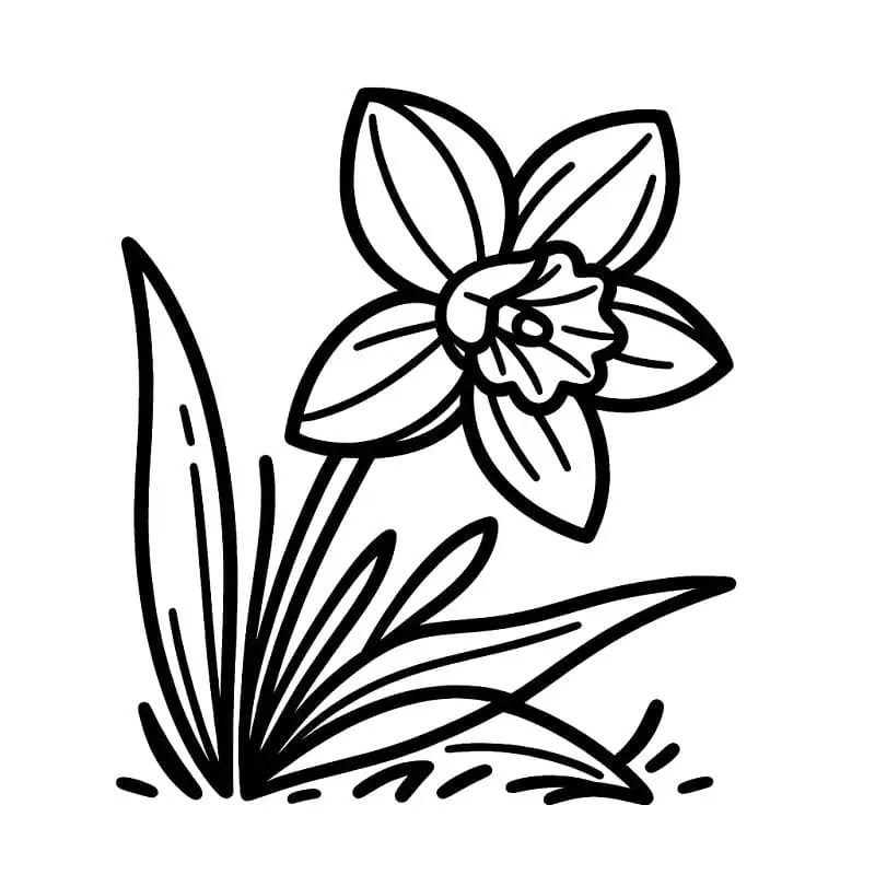 Ingyenes Nárcisz Kép