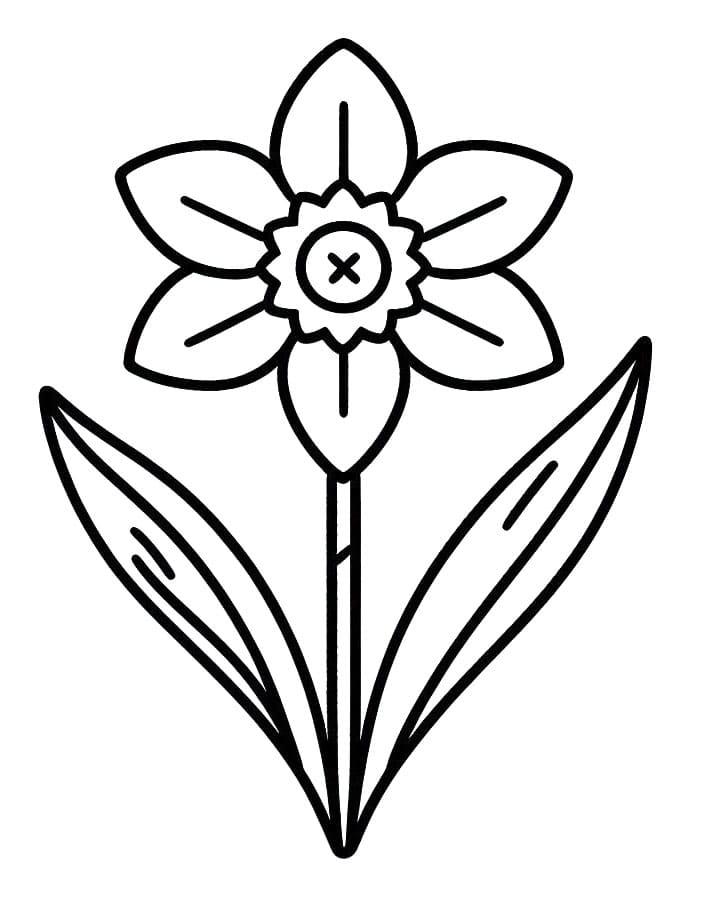 Ingyenes Nárcisz Nyomtatásra