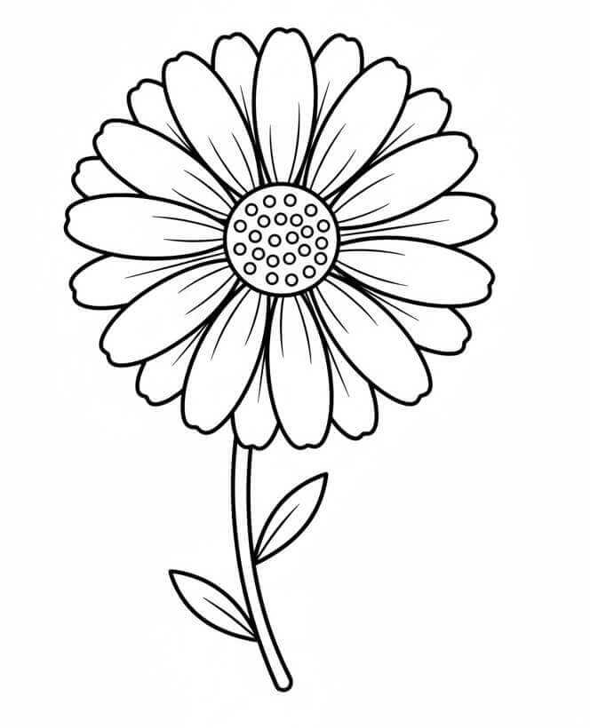 Lenyűgöző Százszorszép